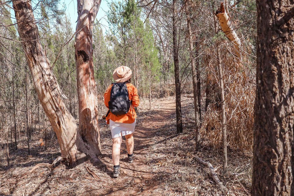 An adventure traveler hiking through the woods with a backpack.